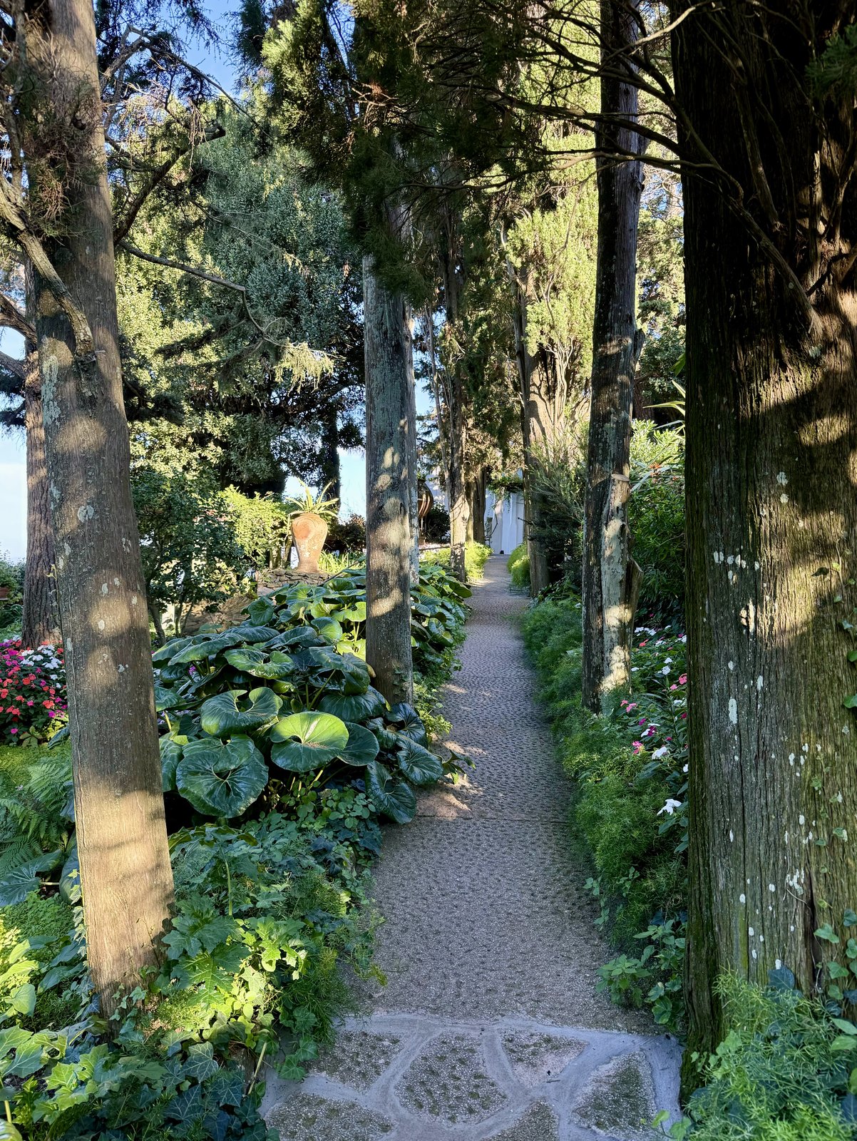 Villa San Michele