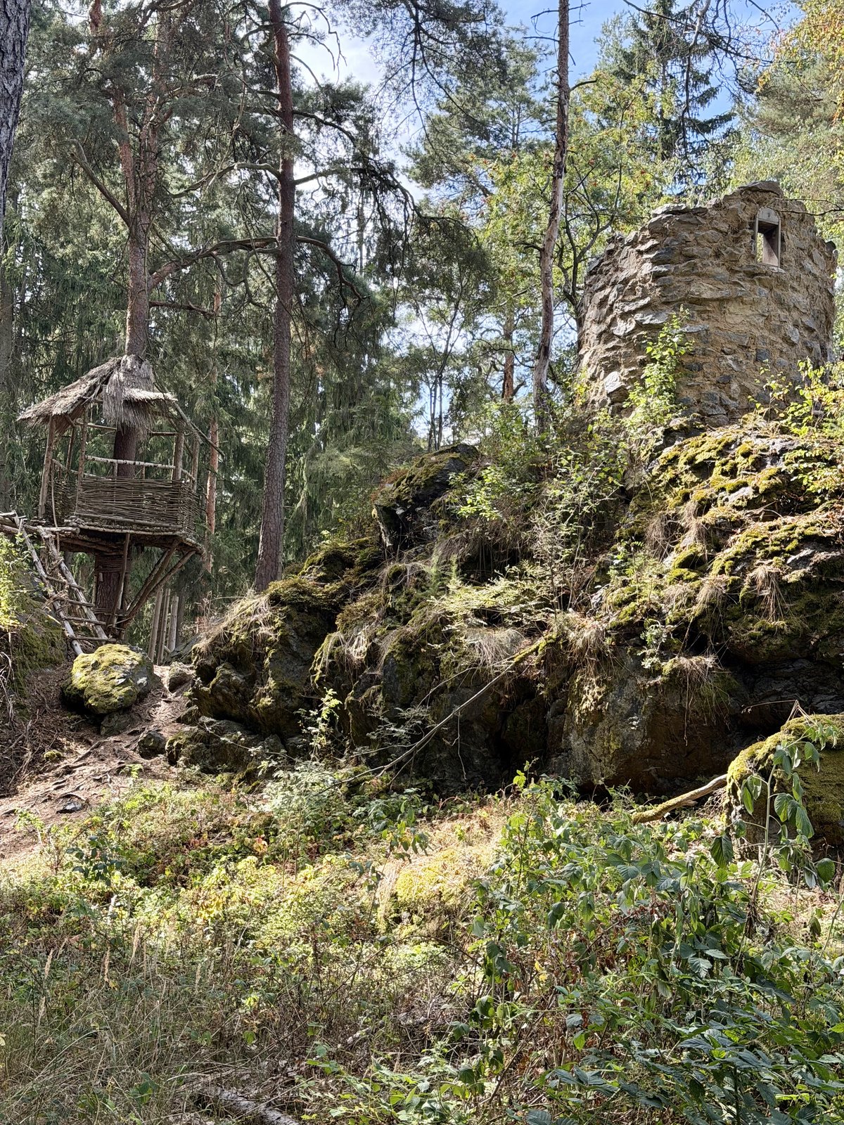 Knížská skála