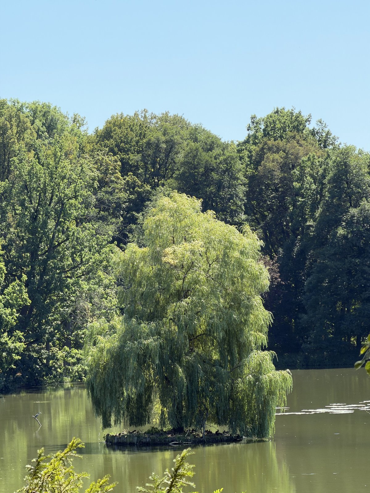 Zámecký park Kozel