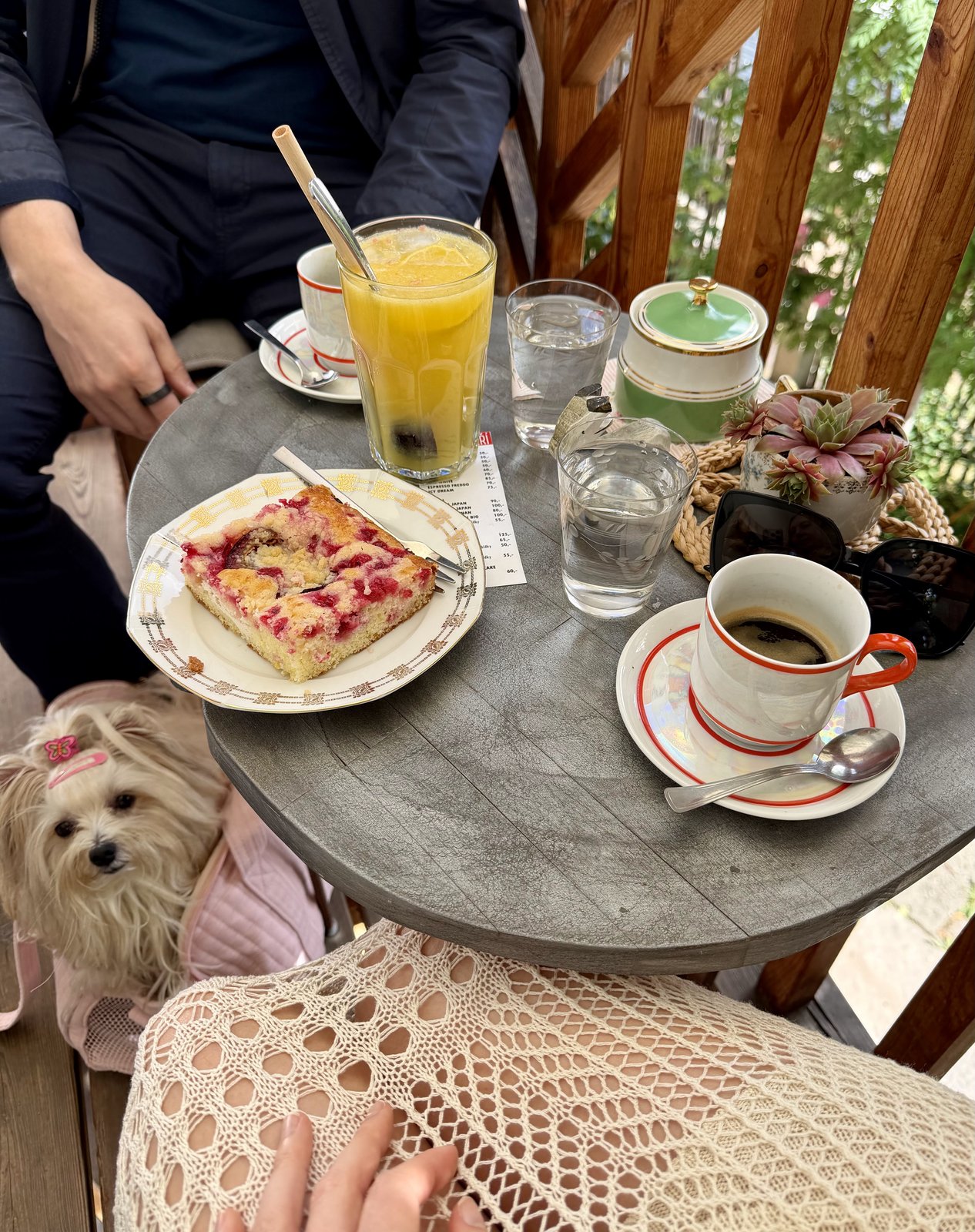 kavárna, café bar V Kozím Peří
