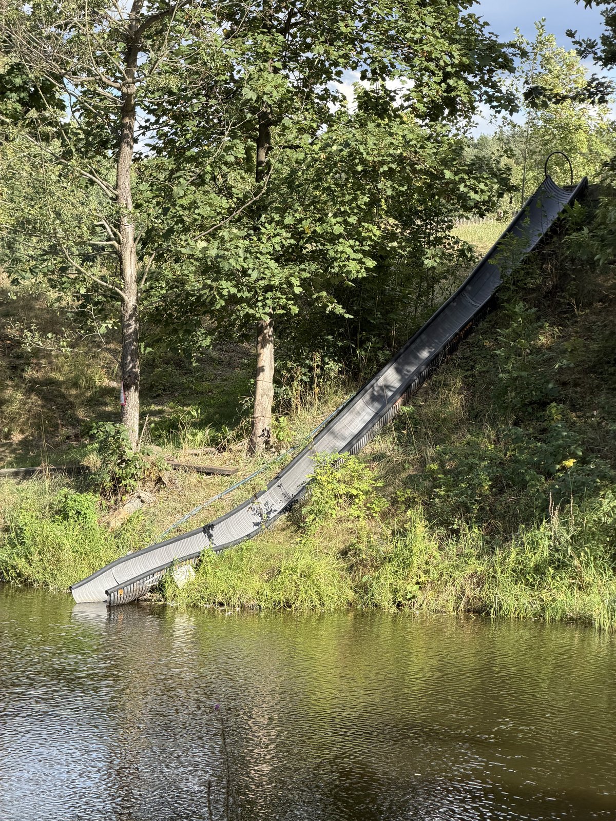 Hvížďalka