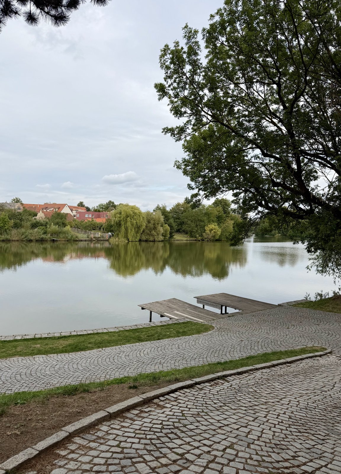 Štěpnický rybnik