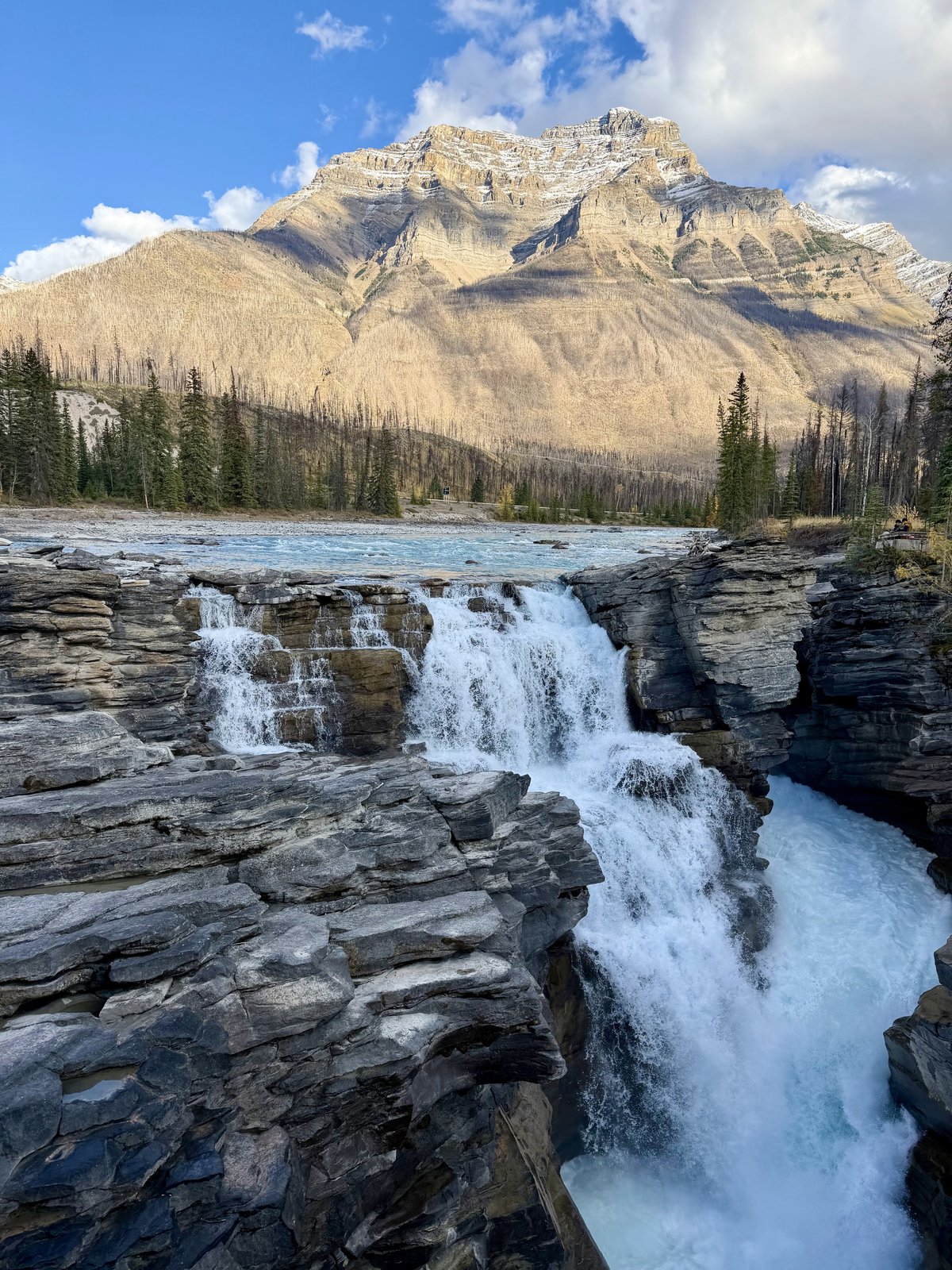 Athabasca Falls