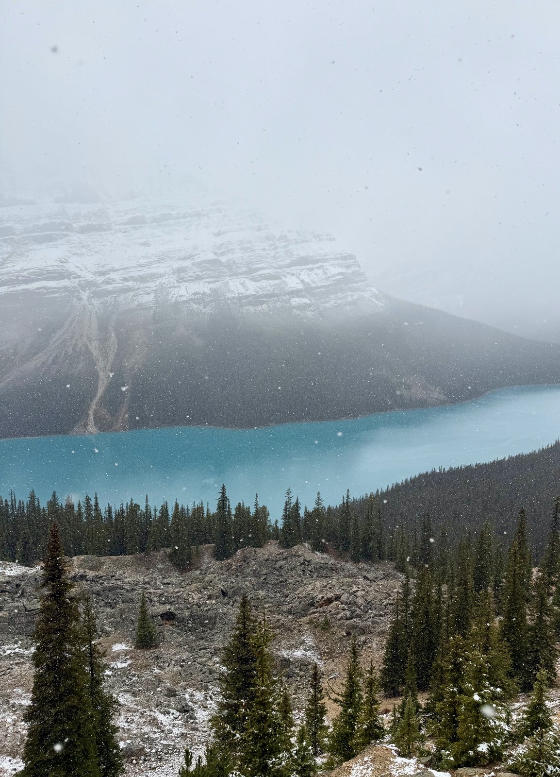 Peyto Lake Viewpoint