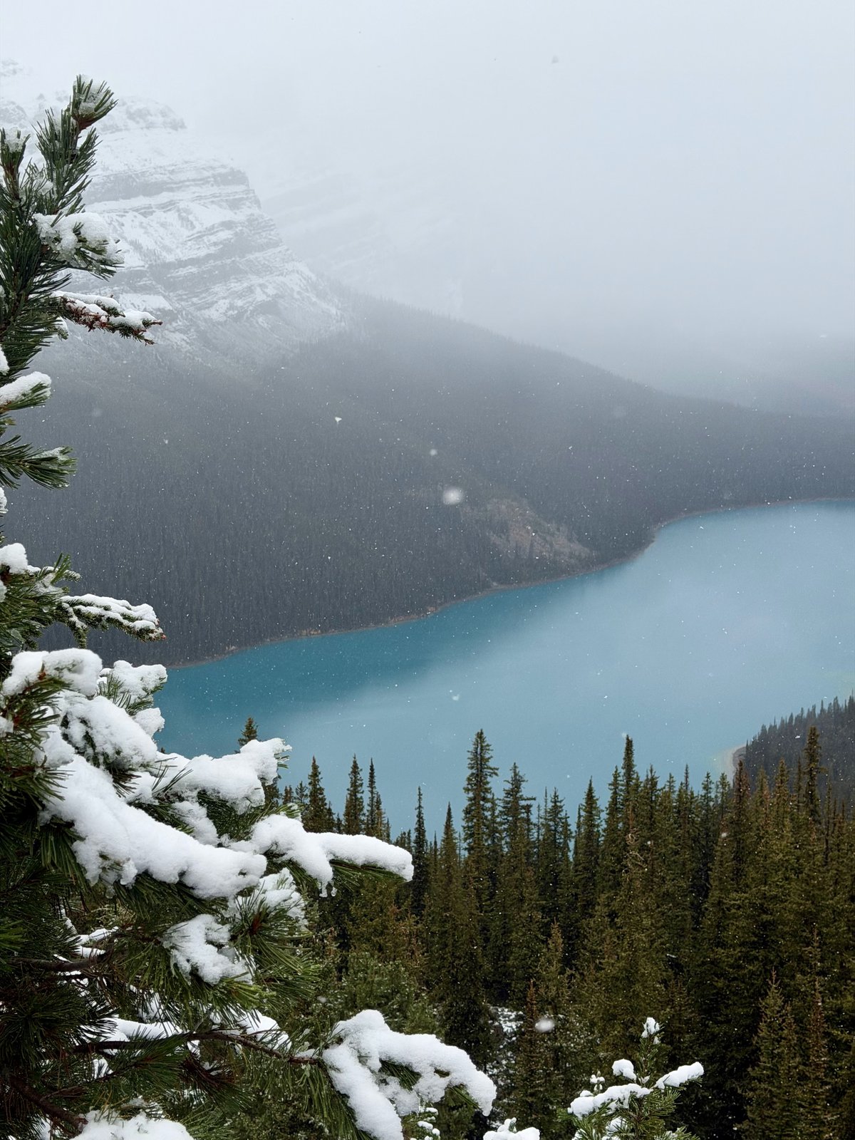 Peyto Lake