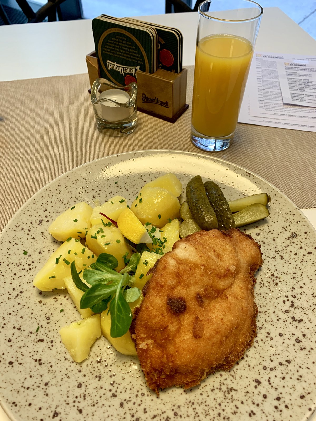 Restaurace ZA OPONOU