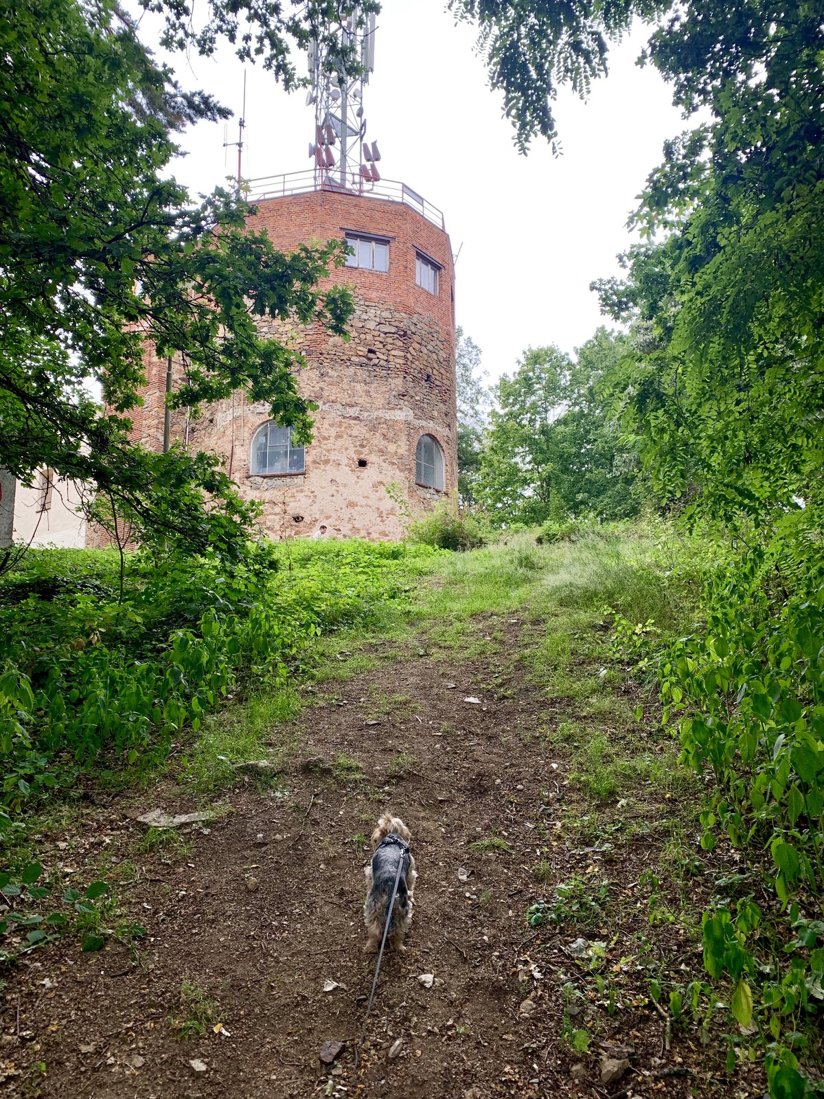 Klatovská Hůrka
