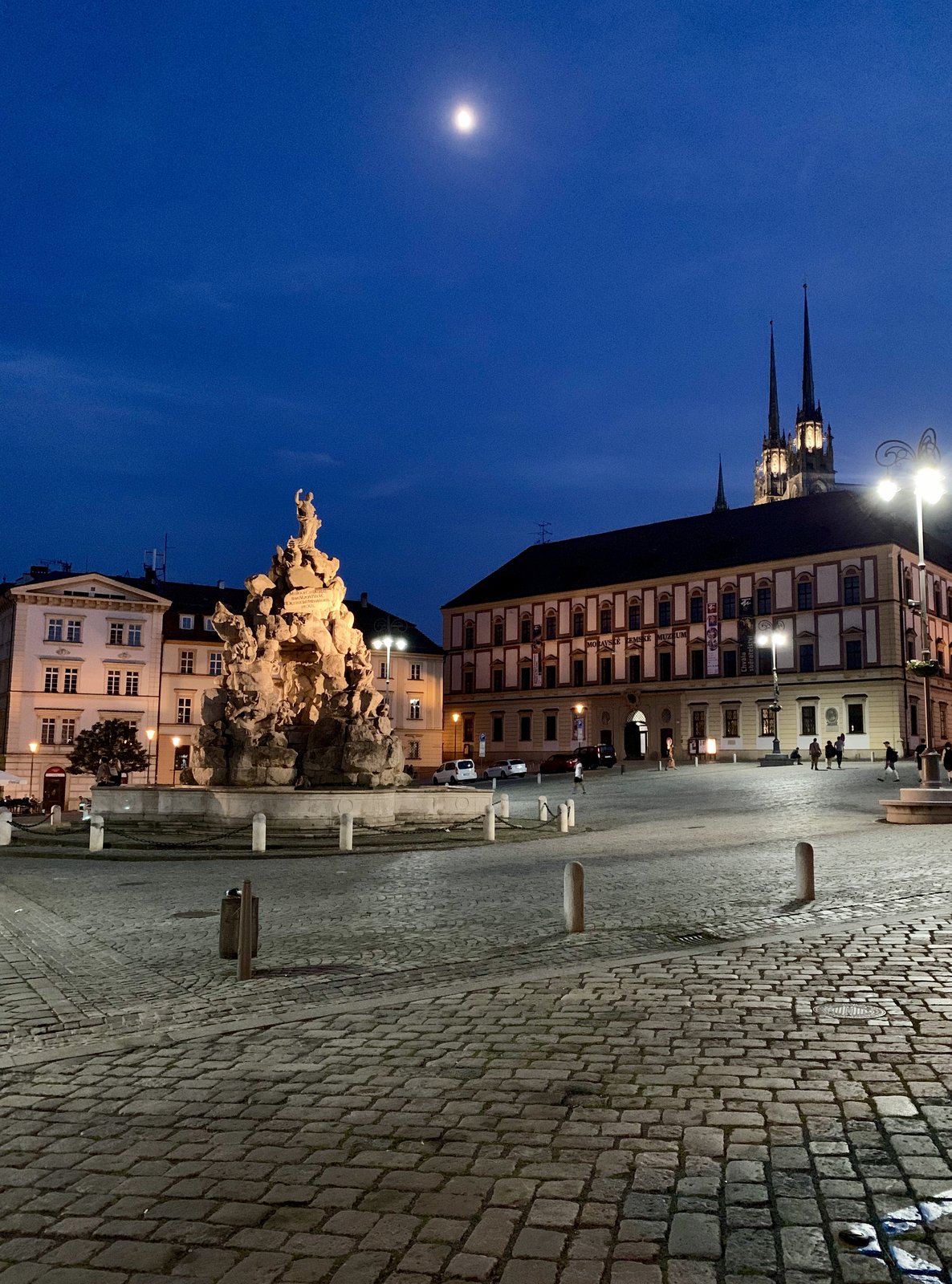 Zelný trh